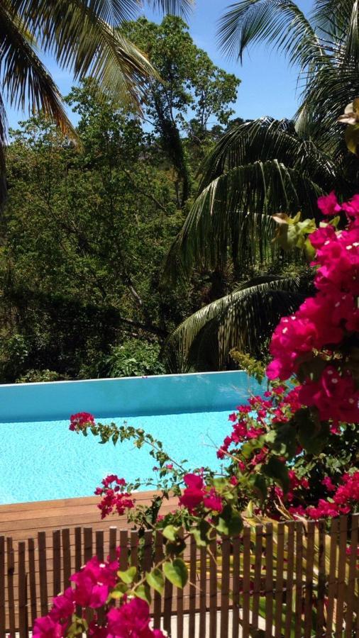 לה גוסייר Confortable T1 Le Gosier, Wi-Fi, Piscine Dans Gite מראה חיצוני תמונה
